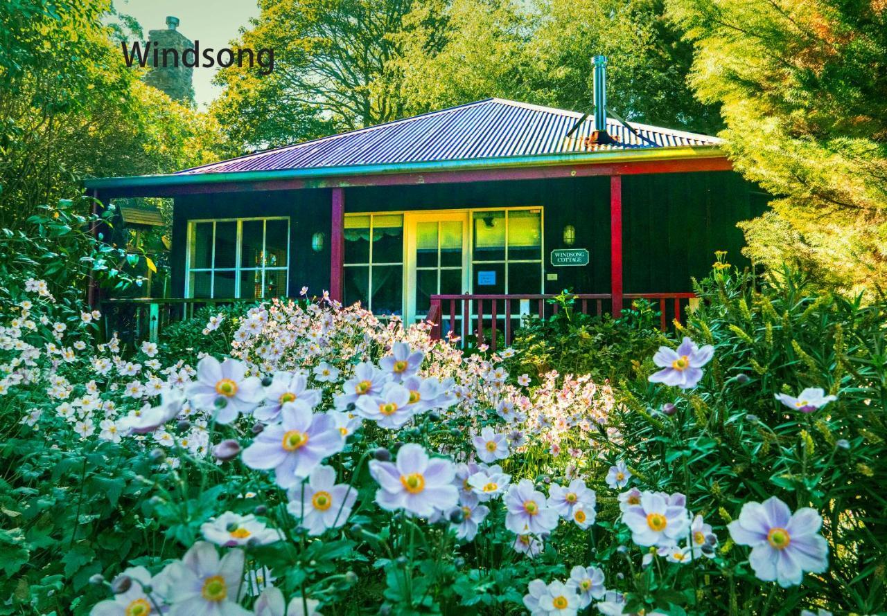 Observatory Cottages Mount Dandenong Kültér fotó