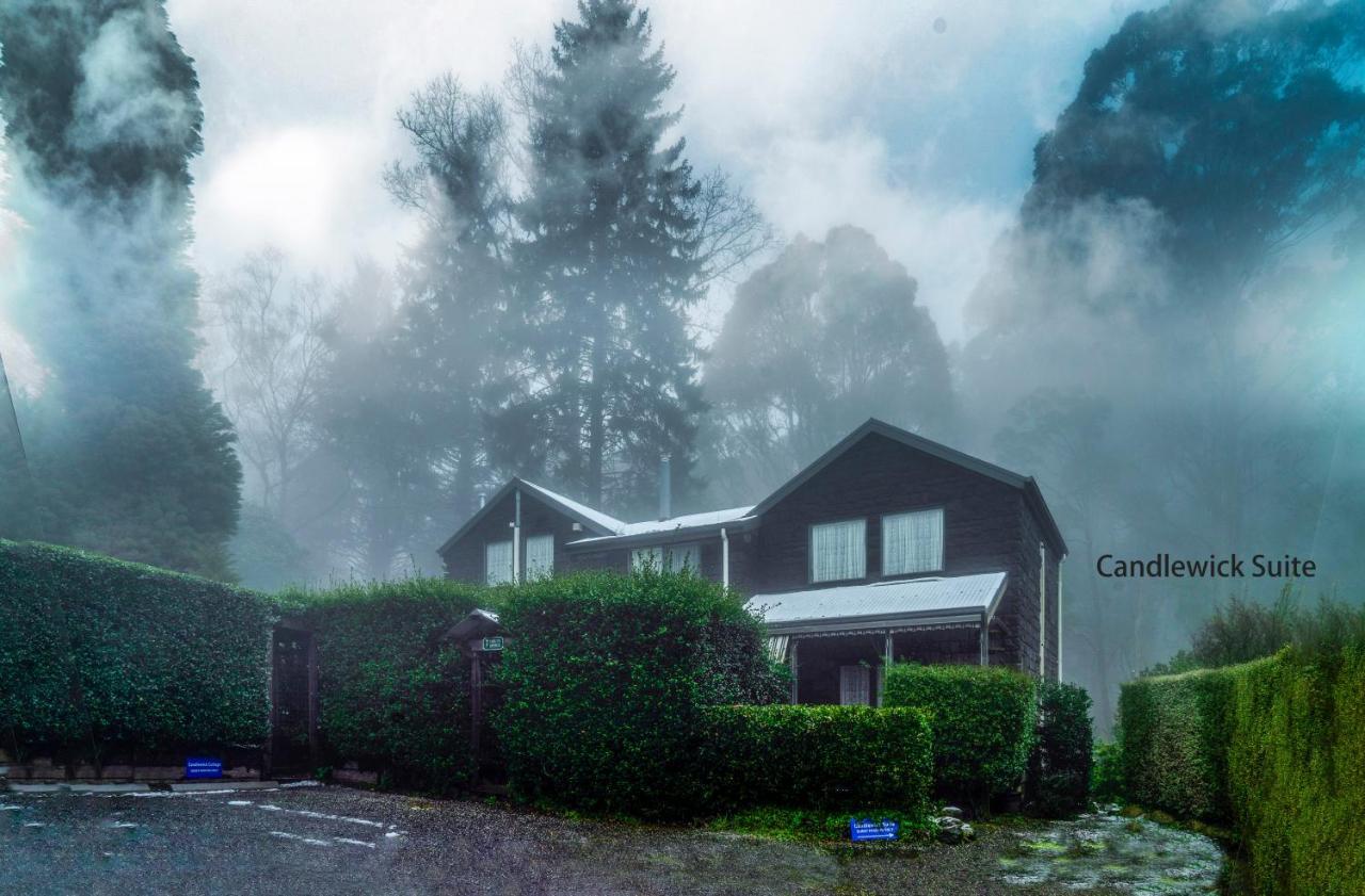 Observatory Cottages Mount Dandenong Kültér fotó